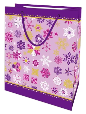 BSCI&Fsc Audit Factory Price Matt Lamination Gift Shopping Paper Bag