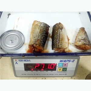 Canned Mackerel Diet Fish In Tomato Sauce