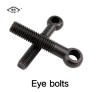 Carbon Steel Stainless Steel DIN444 Round Head Eye Bolts