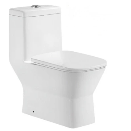 Chaozhou sanitary ware washdown and siphonic ceramic One piece toilet