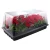 Import Cheap plastic hydroponics propagation kits,dome, tray for plants propagation from China