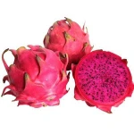 Cheap price fresh dragon fruit from Vietnam