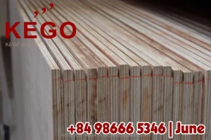 cheap price good quality commercial plywood sheet, timber board, okoume birch bintangor ordinary plywood