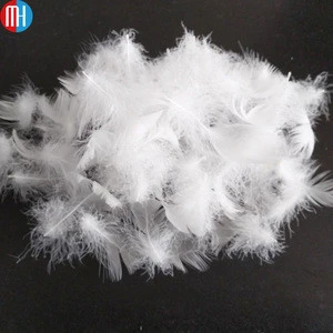 Cheap washed large white goose feathers in down for sale 4-6cm