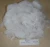 china origin 7dx64mm SEMI-DULL WHITE RECYCLED POLYESTER STAPLE FIBER with good bunce for pillow filling