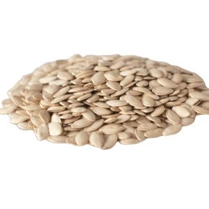 China Raw Material Bulk Dried Nuts Snow White Pumpkin Seeds In Shell