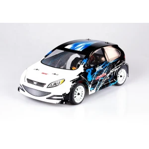 China Supplier 1:14 Electronic Remote Control RC Buggy Truck RC Car Rally Car