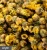 Import Chinese famous loose tire chrysanthemum flower  tea from China