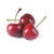 Import Chinese Freeze Dried Cherry from China