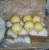 Import Chinese Ya/Early Su/Shandong/Crown Pear from China