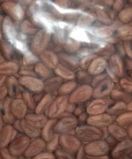 Cocoa beans