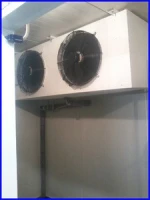 cold room cold freezer Meat and fish cold storage room fruit room
