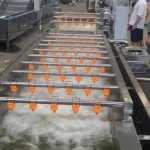 continuously non-stop fruits and vegetables large capacity leafy vegetable fruit lettuce cabbage bubble vegetable washer