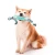 Import Custom Logo Bone Shape Dog Teeth Cleaning Brush Pet Chewing Toy from China
