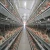 Import customization galvanized aluminum egg laying layer chicken coop animal battery cages for kenya poultry farm from China