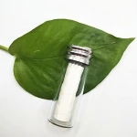customized flavour optional vegan corn dental floss / flosser with biodegretable material