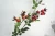 Import Deyuan home decoration fruit artifical 3 forks big rose hips for new year from China