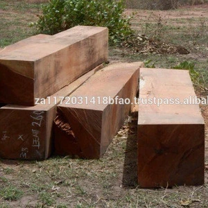 Doussie,Mussibi, logs,square and sawn now available