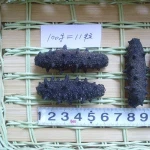 Dried sea cucumber
