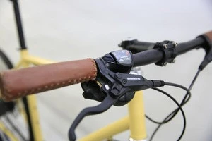 Drive Belt Bike - Special Design Bike with alfine 8 Speed Belt drive road bicycle bike frame belt drive