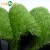Import Durable cheap synthetic landscape artificial grass mat turf lawn from China