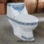 Import Eastern ceramic one piece toilet dual flush push button from China
