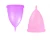 Import Eco Friendly Menstrual Cup Transparent Purple New Menstrual Cup from China