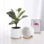 Import Elegant white glazed high Quality cylinder ceramic flower pot with bamboo trays from China