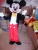 Import Enjoyment CE mouse mascot costume / mickey and minnie mascot costume from China