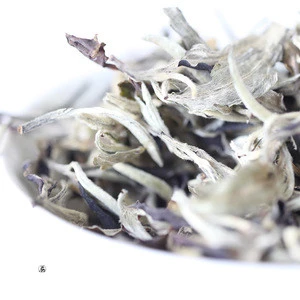 EU Standard Organic Top Quality Chinese Shiningherb Best White Tea Brands Silver Needle White Tea