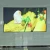 Import Factory Made Best Quality Led Advertising Display Screen from China