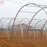 Factory price tunnel selling plastic greenhouses used for sale