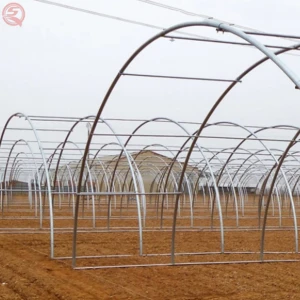 Factory price tunnel selling plastic greenhouses used for sale