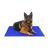 Import Factory Supply New Product IdeasWholesale Cooling Pad Gel Ice Dog Cooling Mat from China