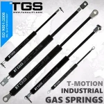 factory supply Nitrogen Gas spring lifting / TGS Turkey