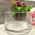 Import FALAJA cylinder glass vase planter pot for flower pot planter from China