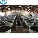 Fish Pond Equipment Fish Farming In China,Recirculatory Aquaculture System Live Lobster Farm,Fish Farm Equipment System