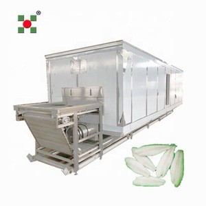 Fish processing line iqf tunnel freezer/ white fish fillet iqf freezing tunnels machine/seafood Processing line
