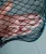 Import Fishing Net, Shrimp Cage,Folding Fishing Network for sale from China