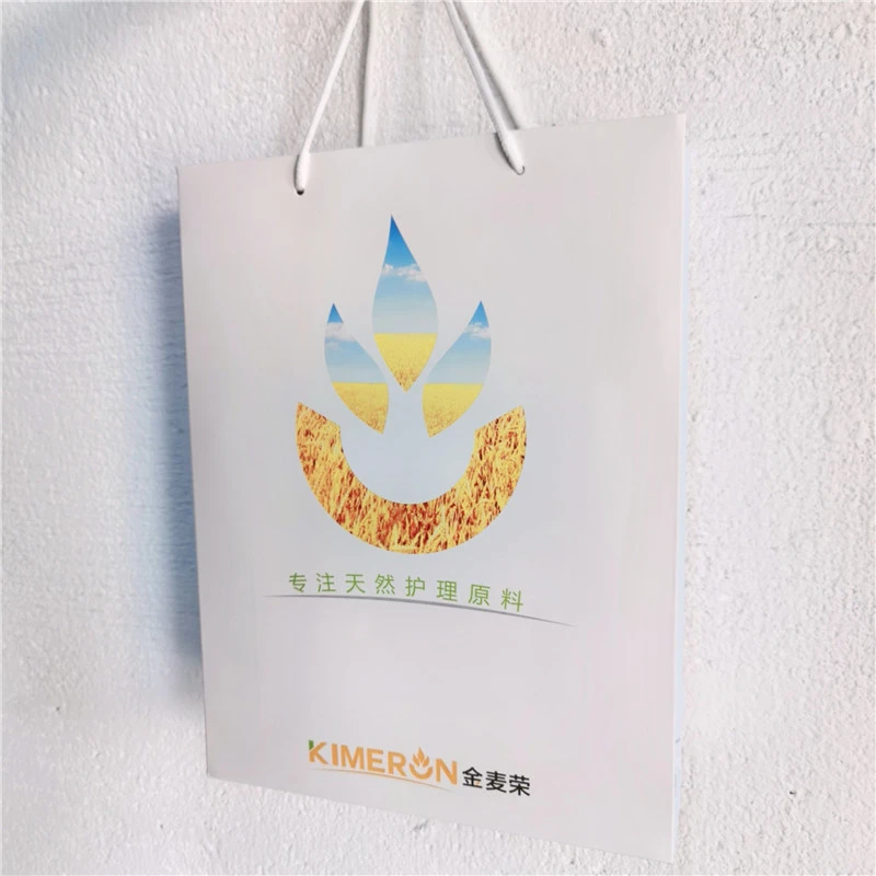 Food grade white wholesale beautiful shopping paper bag with handle