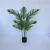 Import Four branches artificial palm tree 10 leaves artificial outdoor palm trees 5709 from China