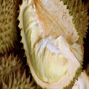 Fresh And Frozen Durian