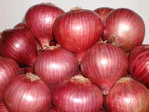 fresh and red nasik onions