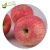 Import Fresh Apple Fruit from China