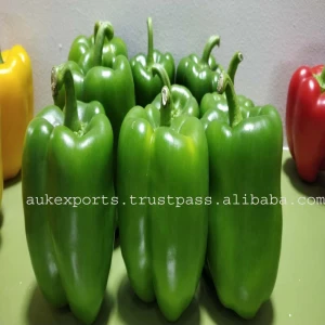 Fresh bell pepper