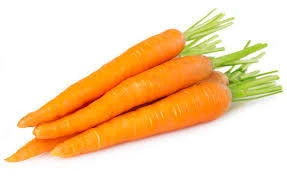 Fresh Carrots For Sell