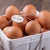 Import Fresh Chicken Eggs / Round Table Eggs for Sale / fertile hatching eggs from South Africa