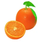Fresh Citrus Fruits