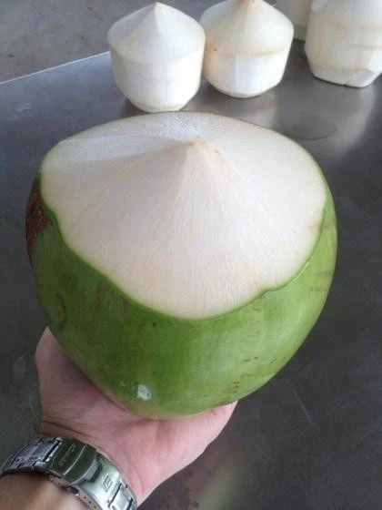 Fresh Coconut from Vietnam for Sale