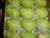 Import Fresh Guava from Egypt
